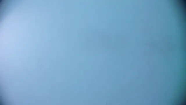 Ashlyaurora online show from 03/19/25, 07:40