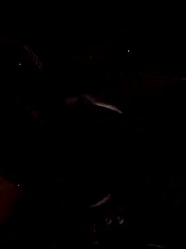 Snapshot of 1Dseralmora2 chatting on 10/29/25, 11:09 1Dseralmora2 online show from 10/29/25, 11:09