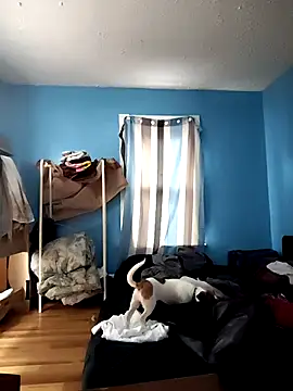 Snapshot of GsSpot69 chatting on 10/24/25, 06:29 GsSpot69 online show from 10/24/25, 06:29