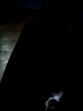 Snapshot of GsSpot69 chatting on 10/25/25, 06:34 GsSpot69 online show from 10/25/25, 06:34