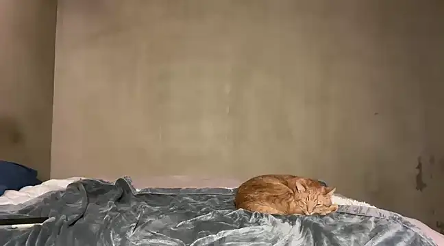 SophieStarShine online show from 03/09/25, 10:52