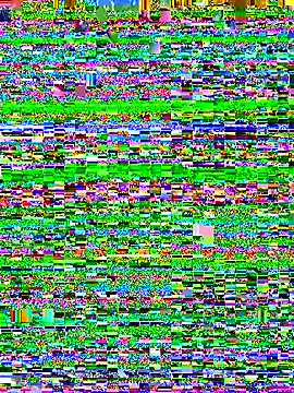 Maggie Geller online show from 11/25/25, 04:40