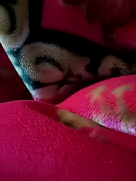 Snapshot of Arabian chatting on 02/27/25, 09:14 Arabian online show from 02/27/25, 09:14