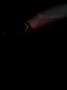 Snapshot of Arabian chatting on 11/08/25, 10:08 Arabian online show from 11/08/25, 10:08