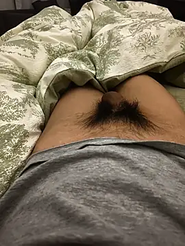 xingyintaidi online show from 11/21/25, 04:39