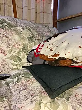 blondiebbc online show from 04/01/26, 01:34