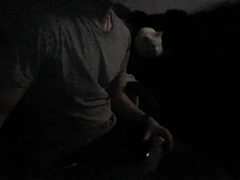 MarioKnero online show from 02/26/26, 09:53