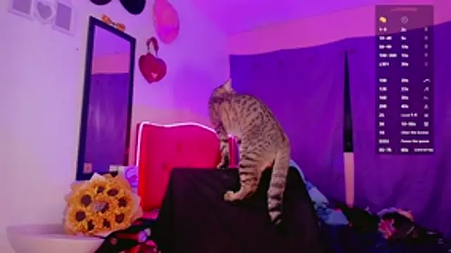 val princes online show from 12/05/25, 11:42