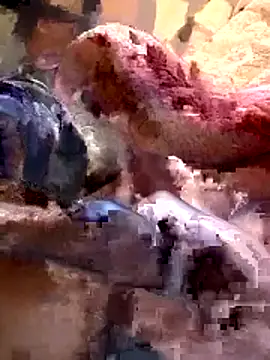 26menny74 online show from 11/07/25, 12:15