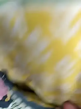 simrun70 online show from 01/06/26, 11:31