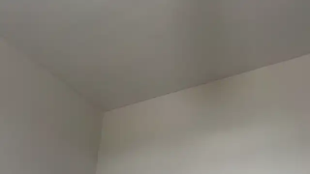 Snapshot of skyejde chatting on 02/12/26, 02:17 skyejde online show from 02/12/26, 02:17