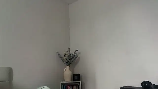 Snapshot of skyejde chatting on 02/16/26, 02:27 skyejde online show from 02/16/26, 02:27