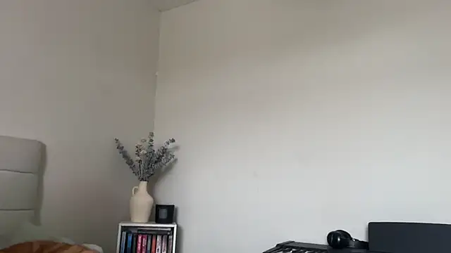 Snapshot of skyejde chatting on 03/01/26, 12:38 skyejde online show from 03/01/26, 12:38