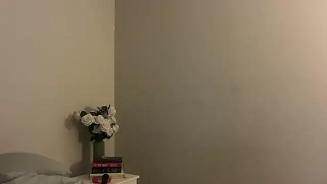 skyejde online show from 11/28/25, 04:29