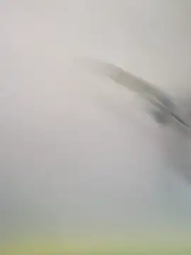 Yashkumar 0697 online show from 11/16/25, 08:19