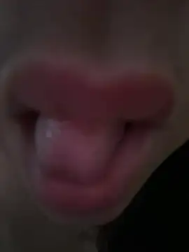 daianaspencer online show from 04/13/26, 06:06