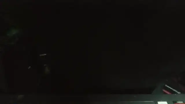 fifu2 online show from 03/29/26, 02:02