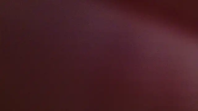 lissa palmer online show from 11/12/25, 03:10