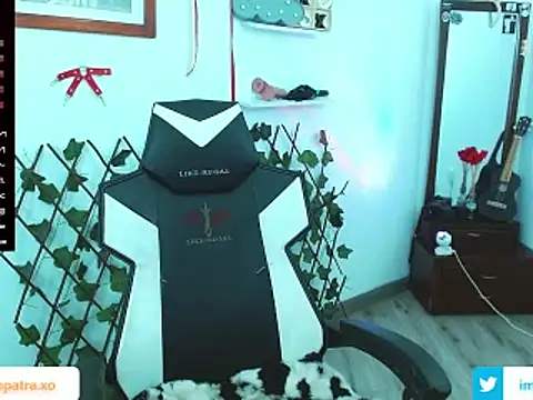 imcleo xoxo online show from 02/21/25, 09:00