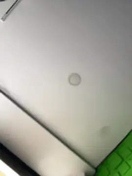 Dulce  Boyd online show from 03/14/26, 02:34