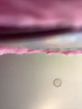 Dulce  Boyd online show from 11/19/25, 01:33