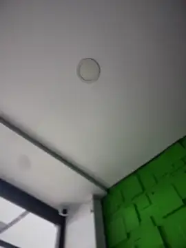 Dulce  Boyd online show from 12/20/25, 01:47