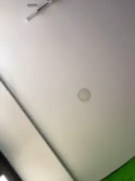 Dulce  Boyd online show from 02/11/26, 02:39