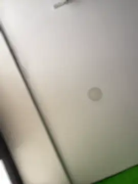 Dulce  Boyd online show from 02/17/26, 02:03