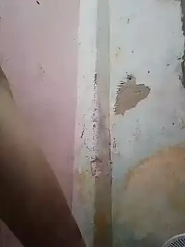 Snapshot of shuelldin chatting on 02/13/25, 11:50 shuelldin online show from 02/13/25, 11:50