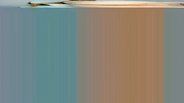 rouss witt online show from 03/07/25, 11:27