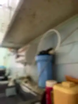 Carola-Ross online show from 01/06/26, 04:33