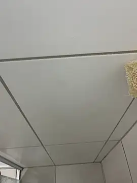 MateusBH123 online show from 01/13/26, 02:37