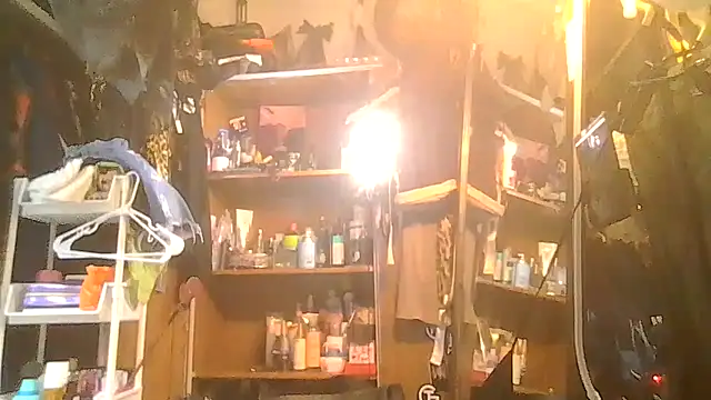 ShysluutGia online show from 01/31/26, 10:08