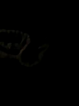 Snapshot of ShysluutGia chatting on 10/21/25, 09:25 ShysluutGia online show from 10/21/25, 09:25