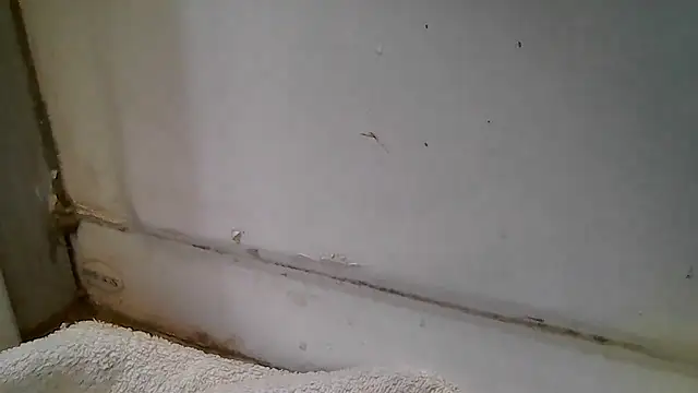 Snapshot of ShysluutGia chatting on 12/15/25, 11:49 ShysluutGia online show from 12/15/25, 11:49