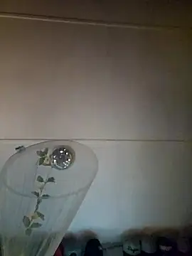 Snapshot of ShysluutGia chatting on 09/25/25, 06:14 ShysluutGia online show from 09/25/25, 06:14