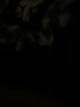 salma74779 online show from 03/20/25, 11:45