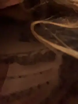 aurora coldd online show from 04/11/26, 09:29