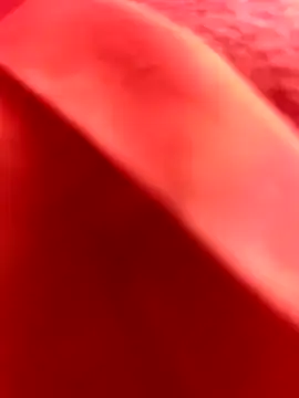 Nahuel141414 online show from 02/25/26, 11:10