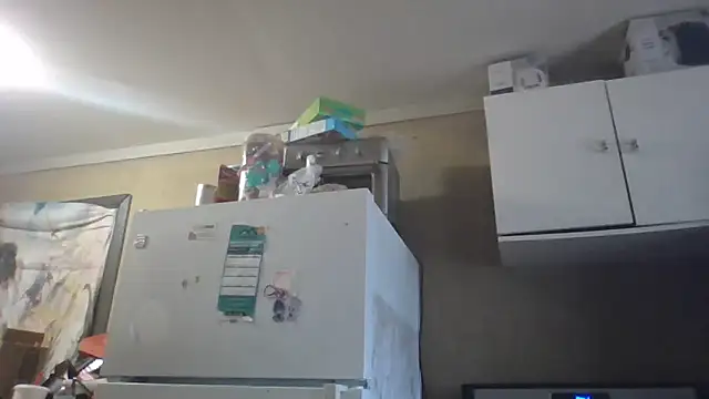 birdg online show from 03/02/26, 02:46