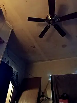 birdg online show from 10/31/25, 03:41