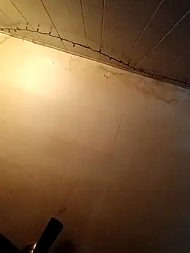 birdg online show from 10/27/25, 07:15