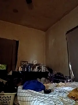 birdg online show from 11/17/25, 04:55