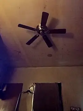 birdg online show from 11/13/25, 06:12