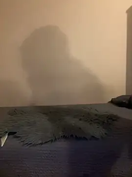 Budibudi5 online show from 11/19/25, 04:56