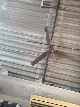 lovely----bhabhi online show from 11/24/25, 03:39