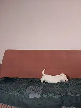 Snapshot of Jehan_Soto chatting on 09/09/25, 05:11 Jehan Soto online show from 09/09/25, 05:11