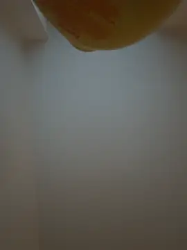 Bleueyez007 online show from 02/10/26, 04:28