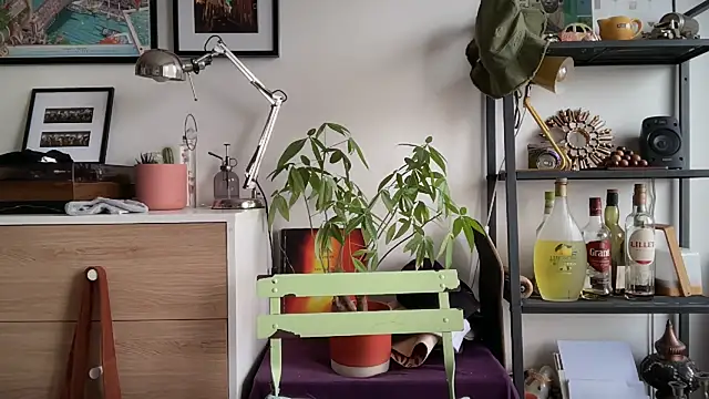 MikymikeBBWD online show from 11/12/25, 11:47