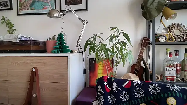 MikymikeBBWD online show from 12/16/25, 11:25